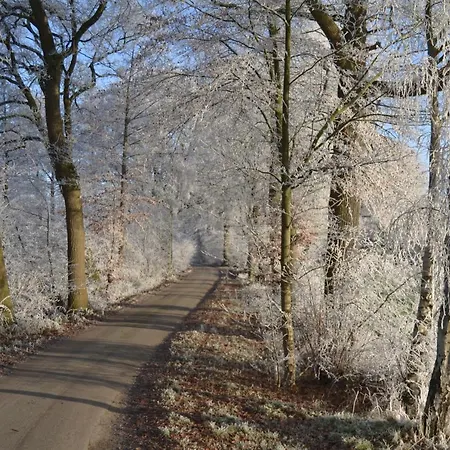 Zum Heuerling Ferienwohung Leinenstube Mit Sauna Apartment Versmold