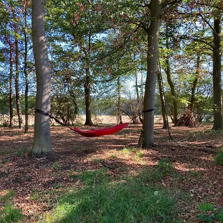 Zum Heuerling Ferienwohung Leinenstube Mit Sauna