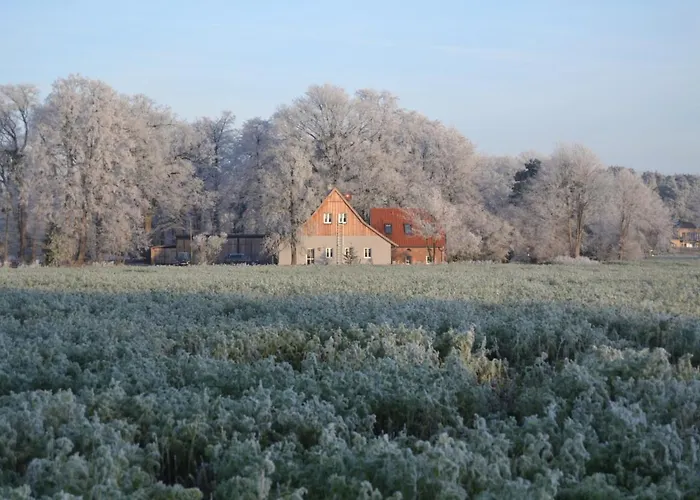 Zum Heuerling Ferienwohung Leinenstube Mit Sauna Appartement *