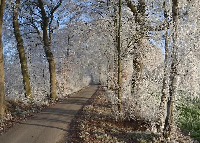 Zum Heuerling Ferienwohung Leinenstube Mit Sauna 公寓 Versmold