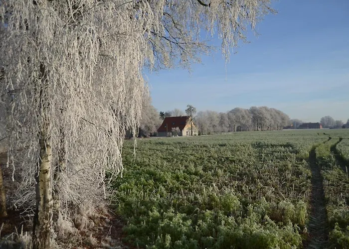 公寓 Zum Heuerling Ferienwohung Leinenstube Mit Sauna *